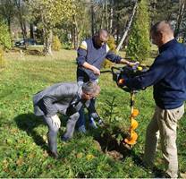 Sadnja sadnice u okviru akcije poumljavanja - Ispred Upravne zgrade (Oktobar, 2018. godine)